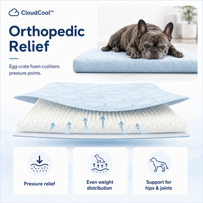CloudCool™ Orthopedic Cooling Dog Bed