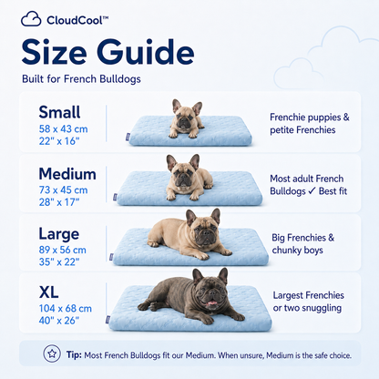 CloudCool™ Orthopedic Cooling Dog Bed