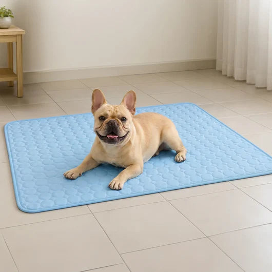 CloudCool™ Portable Cooling Mat